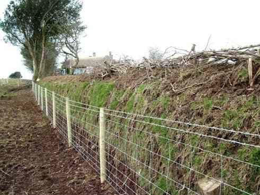 Wire Fencing
